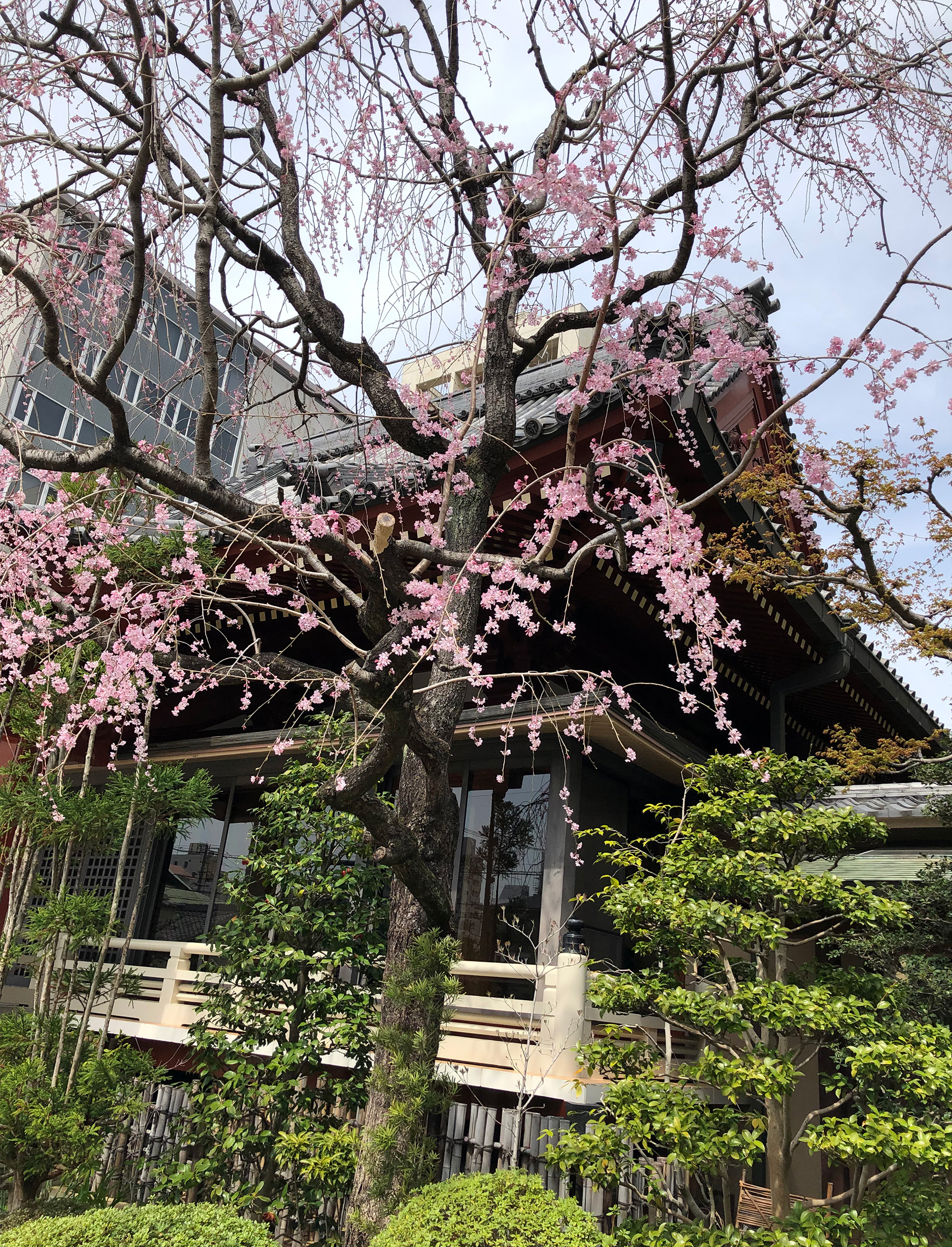 藥師院の写真 4