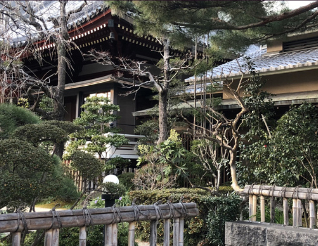 藥師院について